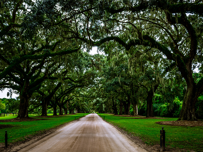 Charleston Oaks